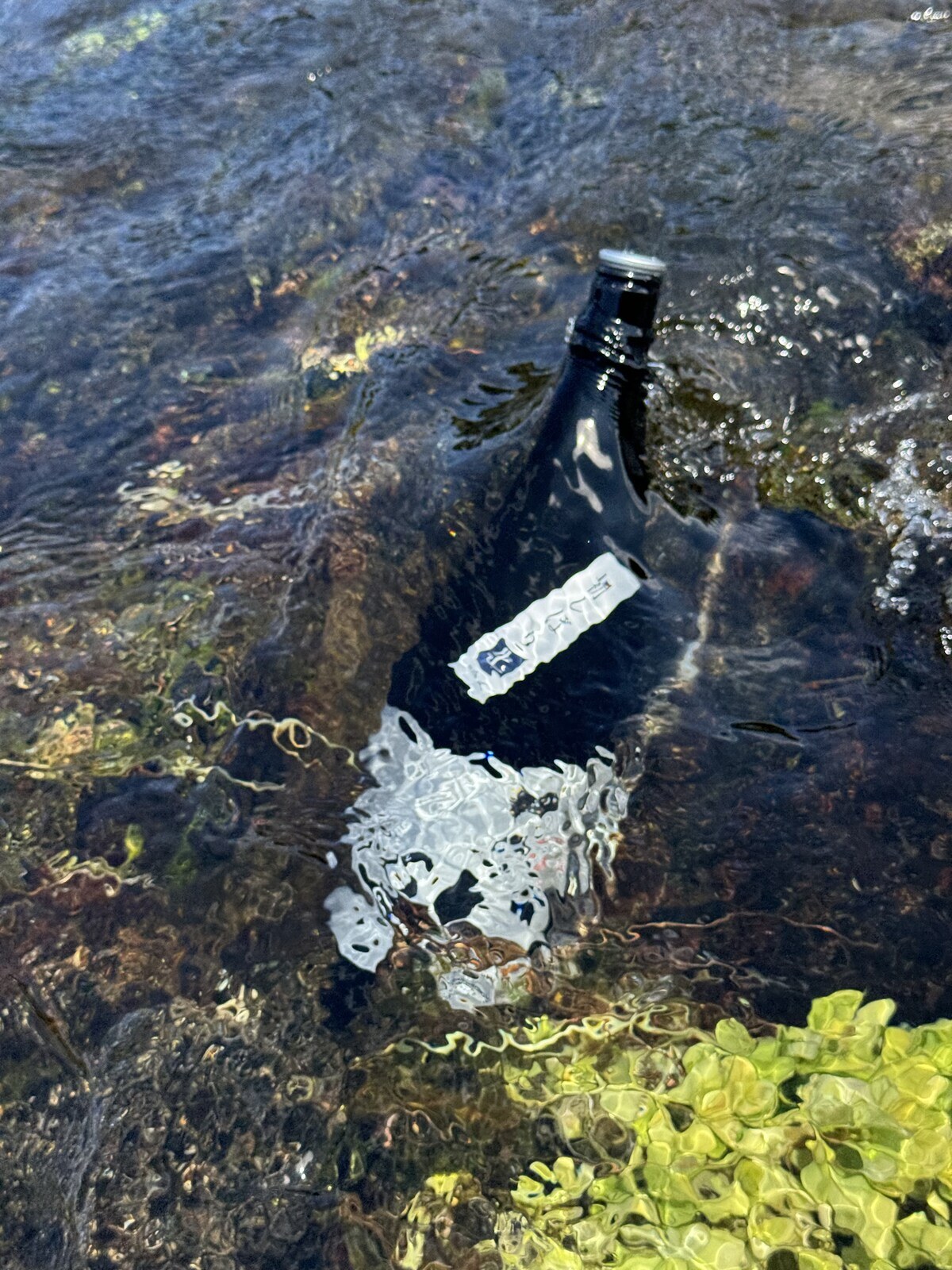 清流で冷やす神川のボトル
